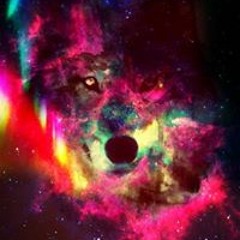 Leonardo Nicolas Pignatta