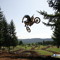 Ollie Burey