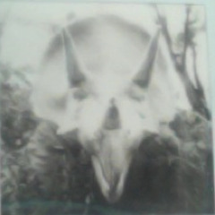 JoelOsmond