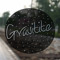 Gravitite