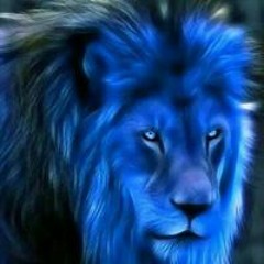 Fortycal FortyCal Black