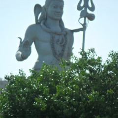 harpreet dhindsa 2