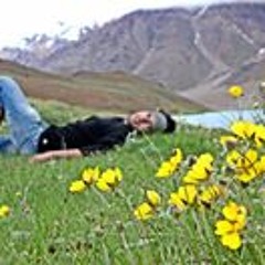 manishigh