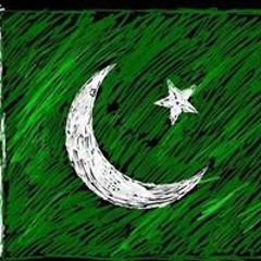 Syed Immad Ud Din
