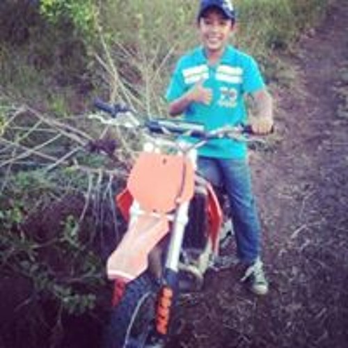 Willem Dario Nuñez Pinzon’s avatar