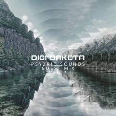 Digi Dakota