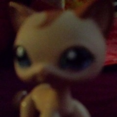 I Don't Hear Anything