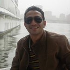 Hesham Kotb 2