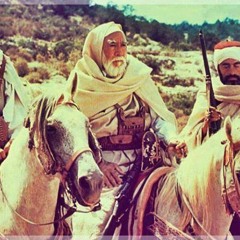Abdelrhman Mohie Eldeen