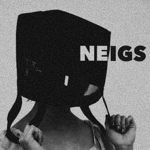 NEIGS’s avatar