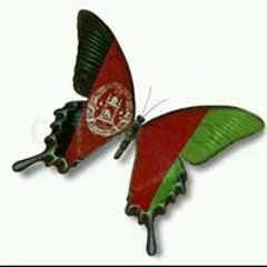 Ahang haye delneshin
