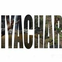 Kang PiyaChart Yampodjana