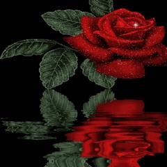 8. d€€ 4. d€€ 5. x3