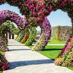 Naglaa Mohamed Ghanem