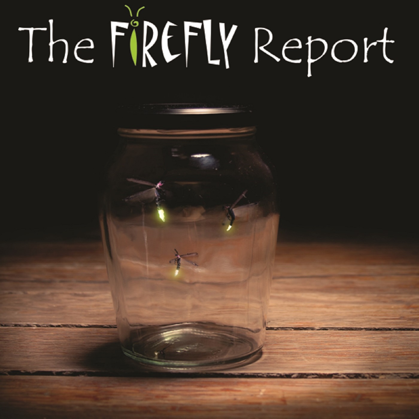 The Firefly Report podcast artwork