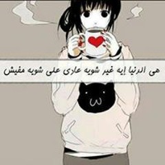 user379960847