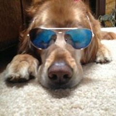 Zachary Beau yo yo yo