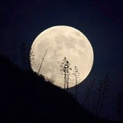 بالرائد الروح روحي خليها