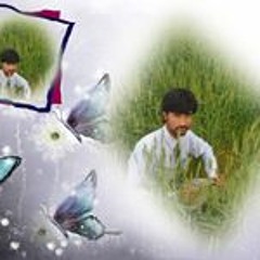 Abdul Basit 302