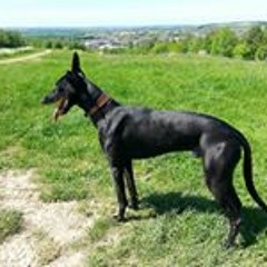 Michael Timothy Durkin