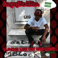 AngryBird Slim