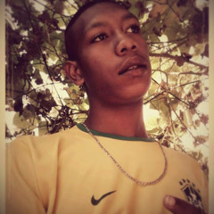 Bitos Zika
