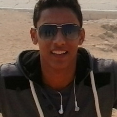 Ahmed Nabil Aboneama