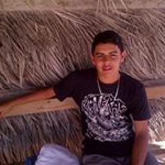 user544588941