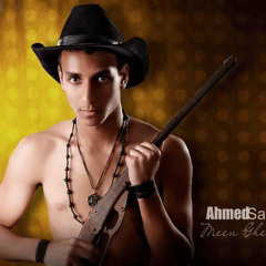 Hossam Shokry 1