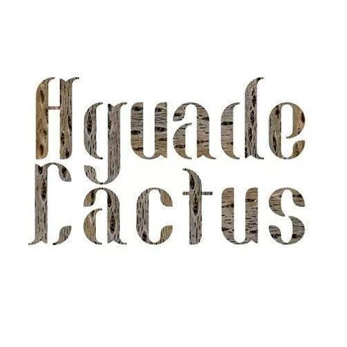 Agua de Cactus’s avatar