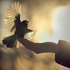 Bridgit Mendler - Blonde (Acoustic)