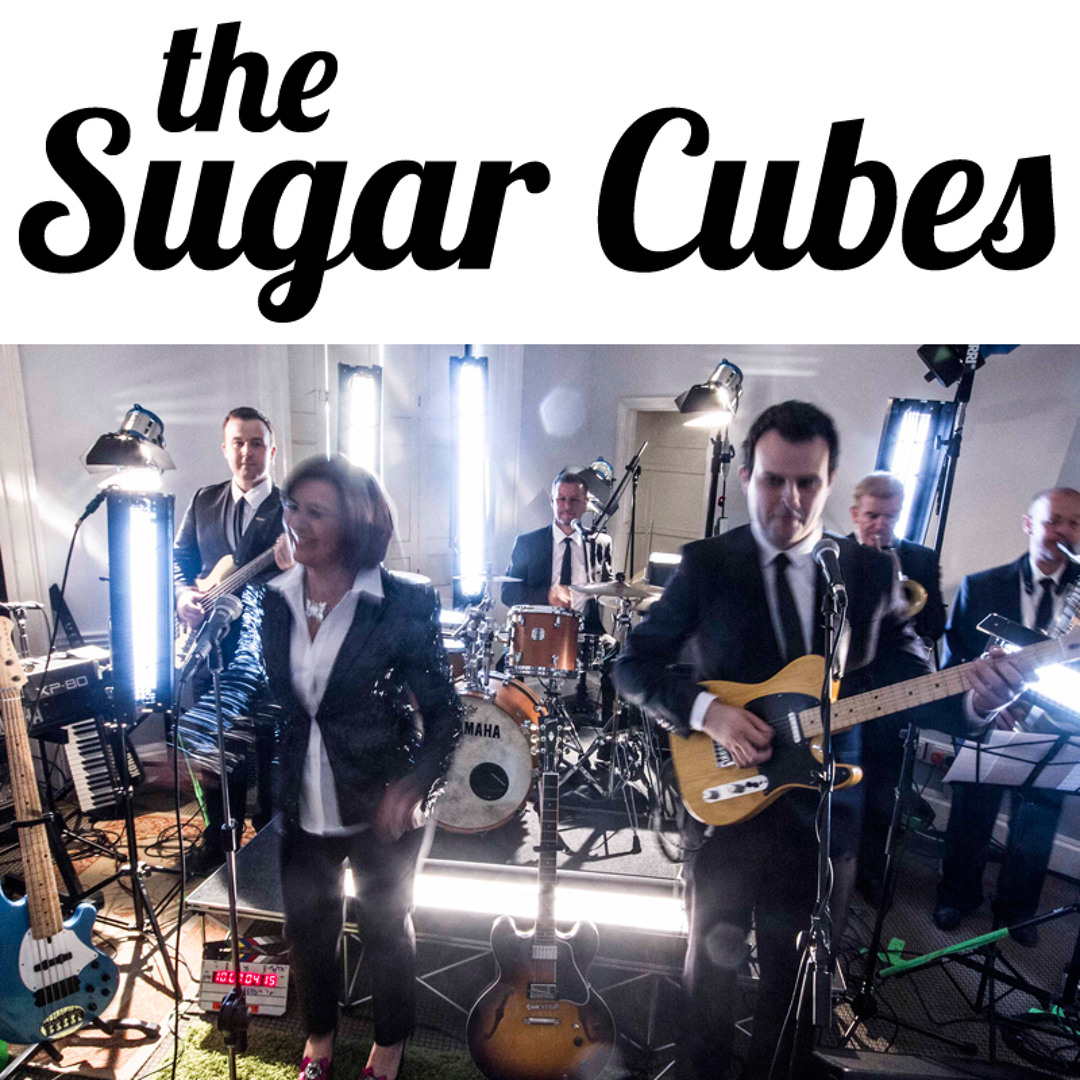 Stream The Sugarcubes Band music | Listen to songs, albums