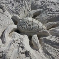 Katelynn Rena Anthony