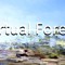 Virtual Forest