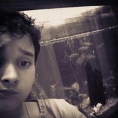 Lucas Pazzini Ribeiro