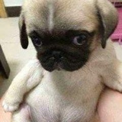 Thiện Nguyễn 154