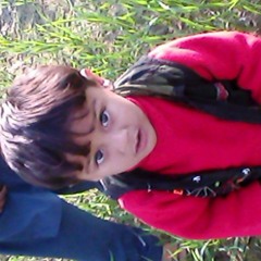 user953520445