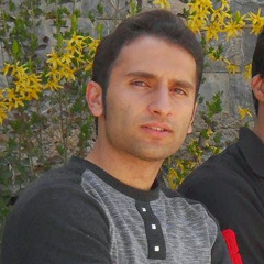 Ali Zamani 1