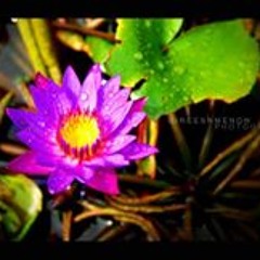 Monet Battle McLaurin