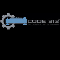 code313