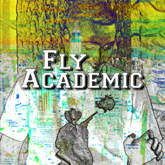 Fly Academic