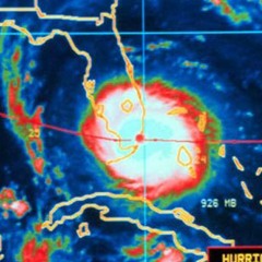 yung youth (yung persona)