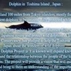 voice of an earthling