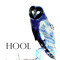 HooL