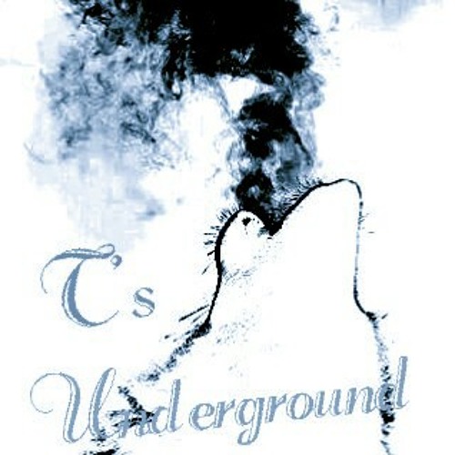 T/Hitman-Productions's likes on SoundCloud - Listen to music