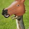 squirrel-horse
