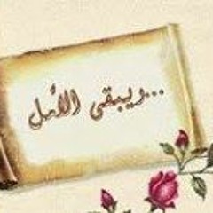 Ramy Alaa El-deen Ibrahim