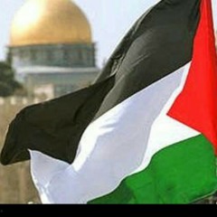 يا قوم مالي أدعوكم إلى النجاة وتدعونني إلى النار في قرآن كريم