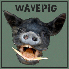 Wavepig