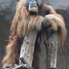 Francisco Santiago 21